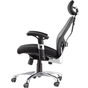 Office Factor Ergonomic High Back Chair Side View